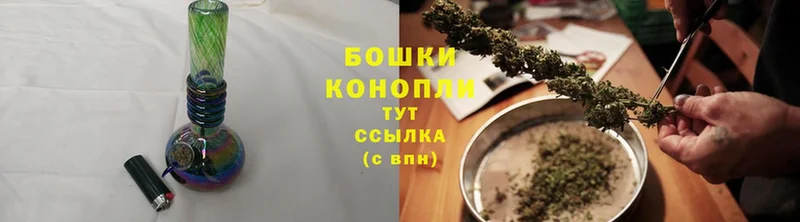 ссылка на мегу онион  Елизово  Марихуана гибрид  купить закладку 